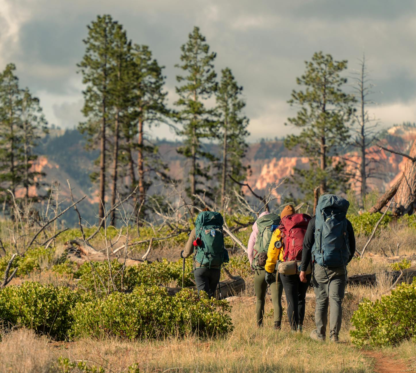 Grupa turystów na szlaku w skalistym kanionie podczas trekkingu