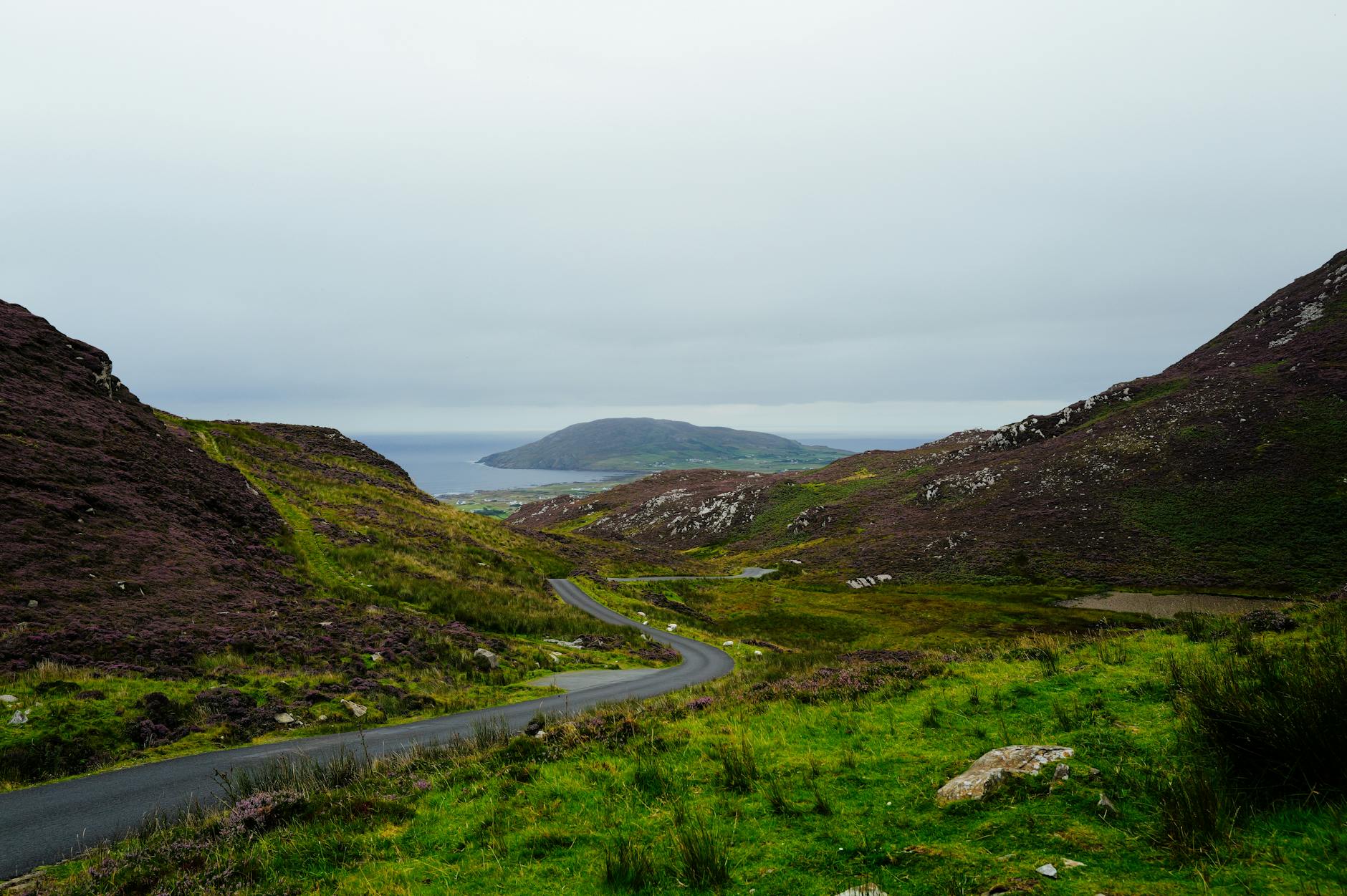 Kręta szosa Wild Atlantic Way w zielonych irlandzkich wzgórzach nad oceanem